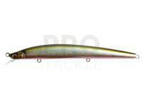 Hard Lure Megabass X-120 | 12cm 11.4g Slow Floating - Wagin Oikawa