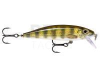 Lure Rapala X-Rap CountDown 7cm - Live Perch