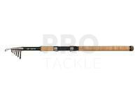 Rod DAM Iconic2 Backbone Tele Rod 2.70m 30-80g