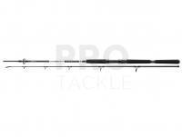 Rod Daiwa BG Offshore Pilk 2.70m 40-125g