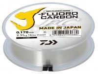 Fluorocarbon Line Daiwa J-Fluorocarbon Leader 100m 0.40mm