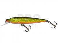 Hard Lure Salmo Pike PE9F - Hot Pike