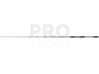 Rod Casting Dragon X-Treme HD Casting 200C 1.98m 60-200g