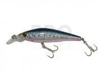 Lure DUEL Aile Magnet Neo 70S - FHSG