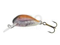 Lure Dorado Alaska A-2,5 Floating BT