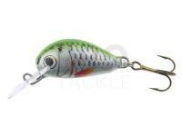 Lure Dorado Alaska A-2,5 Floating GRS