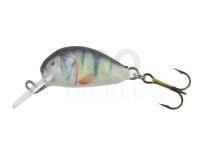 Lure Dorado Alaska A-2,5 Floating P