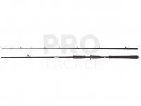 Rod Abu Garcia Beast Pike Casting 2.59m 50-200g