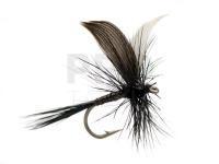 Dry fly Black Quill no. 12