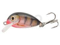 Lure Hunter Bullet 2.5cm S - RP