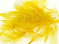 CDC Loose Grade Dyed 0.5g - Golden Yellow