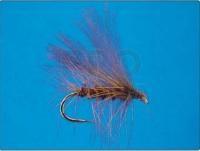 CDC Sedge - brown no. 12