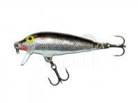 Lure Rapala CountDown 11cm - Silver