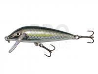 Lure Rapala CountDown 5cm - Bleak