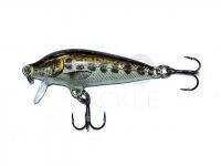 Lure Rapala CountDown 7cm - Muddler