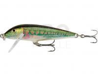 Lure Rapala CountDown 7cm - Minnow