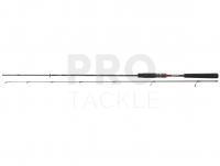 Rod Daiwa Ballistic X Spin 2.10m 10-40g