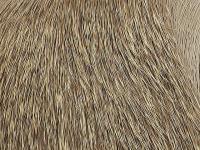 Wapsi Deer Body Hair - 227 Natural Brown