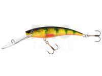 Lure Jaxon Diver 11 DR OM