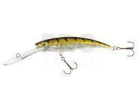 Lure Jaxon Diver 12cm DR - OB