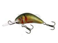 Lure Kenart Diver 4cm NG