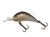 Lure Kenart Diver 4cm TR