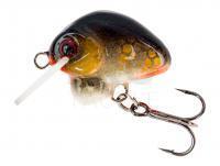 Lure HMG Lures Droop Killer 20mm | 3g - 0220302