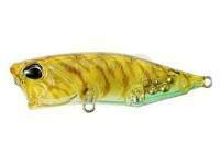 Hard Lure DUO Realis Popper 64 SW Limited 64mm 9g - CCC0343 Prawn