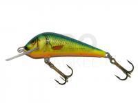 Lure Kenart Dynamic 5cm NRX