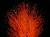 Feathers Hareline Extra Select Marabou #187 Hot Orange