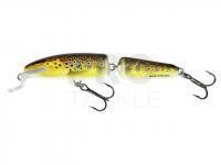 Lure Salmo Fanatic IF7F 7cm - Trout (T)