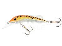 Lure Jaxon Ferox 10cm F Color GFT