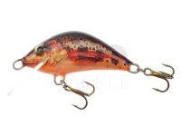 Lure Bielik Garbusek 4cm - X17