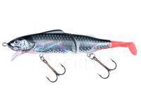 Lure Jaxon Gerit 11cm + 3cm F color SC