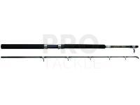 Rod Abu Garcia GT Boat GT 602 1.84m 30lb Heavy