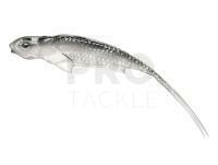 Soft Bait Qubi Lures Syrena ONYX Vert 20cm - Bleak