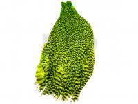 Hareline Grizzly Streamer Cape - #54 Chartreuse Grizzly