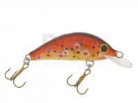 Lure Gloog Hektor 40NF-TN