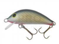 Lure Gloog Hektor 40SRF - NS