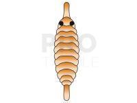 Hemingway`s Gammarus back - Orange