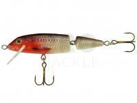 Hard Lure Jaxon Holo Select Horn 7cm 7g F - RB