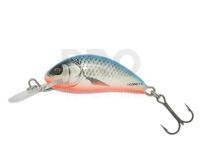 Salmo Hornet H2S DB