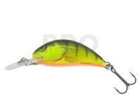 Salmo Hornet H3F - Hot Perch