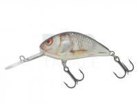 Lure Salmo Hornet H5F - Real Dace