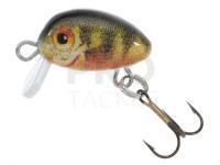 Lure Jaxon HS Micron 2cm S - KW