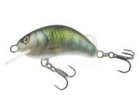 Lure Kenart Hunter 5cm GG