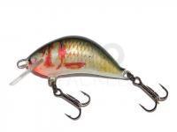 Lure Kenart Hunter 5cm NG