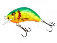 Lure Kenart Hunter 5cm NRX