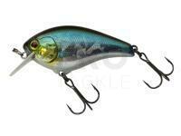 Hard Lure Illex Aska 60 SR 60mm 11.4g - Aurora Bleak