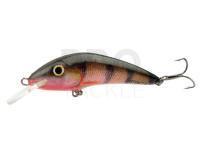 Lure Hunter Instinct 6.2cm F - RP